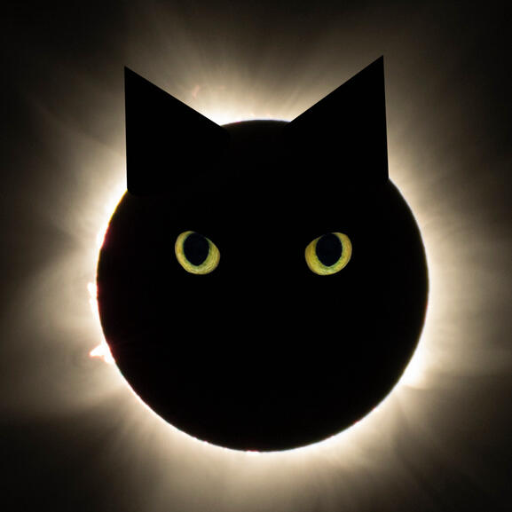 Black Cat Solar Eclipse