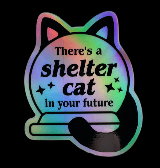 There’s a Shelter Cat in Your Future